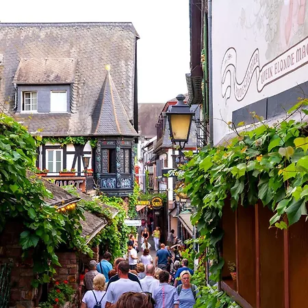 Apartment Zentral Wohnen Zwischen Rhein, Altstadt Und Reben Ruedesheim am Rhein