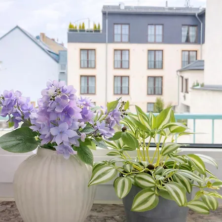 Apartament Zentral Wohnen Zwischen Rhein, Altstadt Und Reben