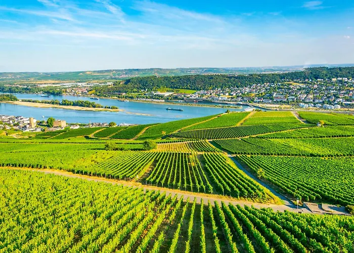 Apartment Zentral Wohnen Zwischen Rhein, Altstadt Und Reben Rüdesheim am Rhein